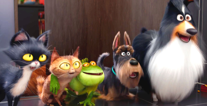 The secret life of pets 3